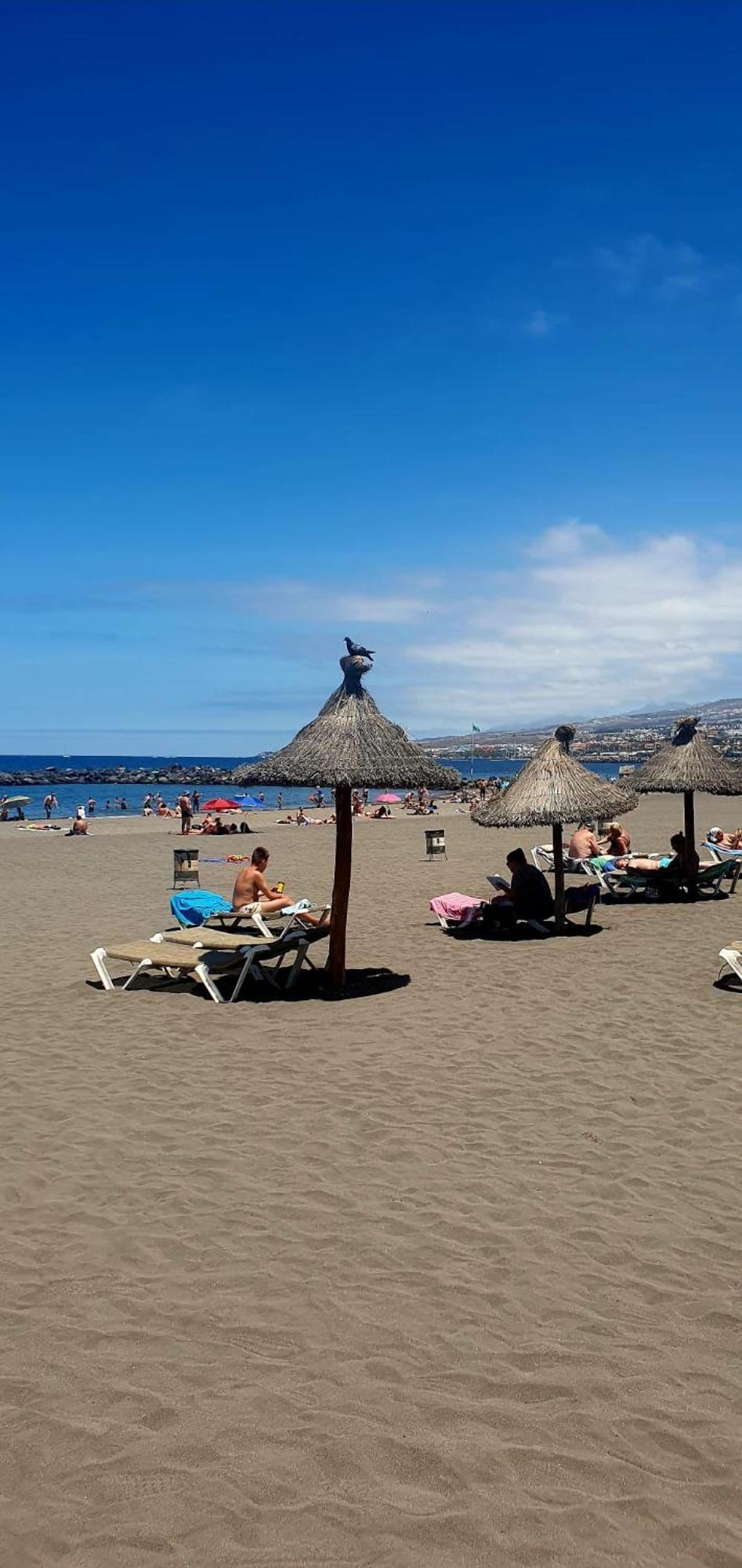 Wonderful White Appartament In Las Tortugas Playa de las Americas  Zewnętrze zdjęcie